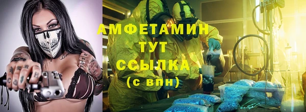 мет Алексин