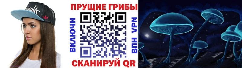 как найти закладки  blacksprut как войти  Галлюциногенные грибы Cubensis  Киреевск 