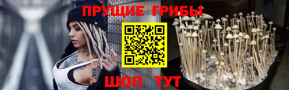 Псилоцибиновые грибы Psilocybine cubensis  Вход с VPN  Псилоцибиновые грибы Psilocybe  наркота  Киреевск 